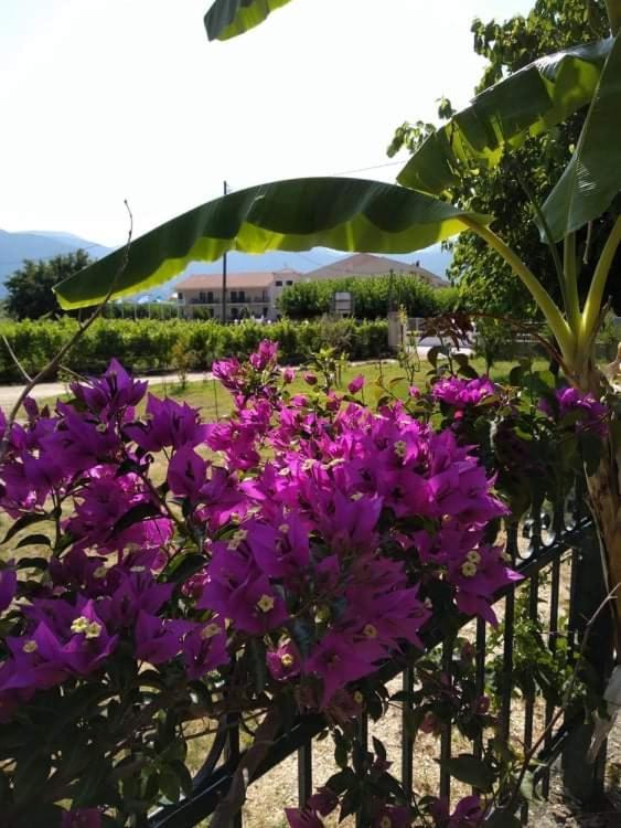 Vila Rosegarden Sami  Exteriér fotografie