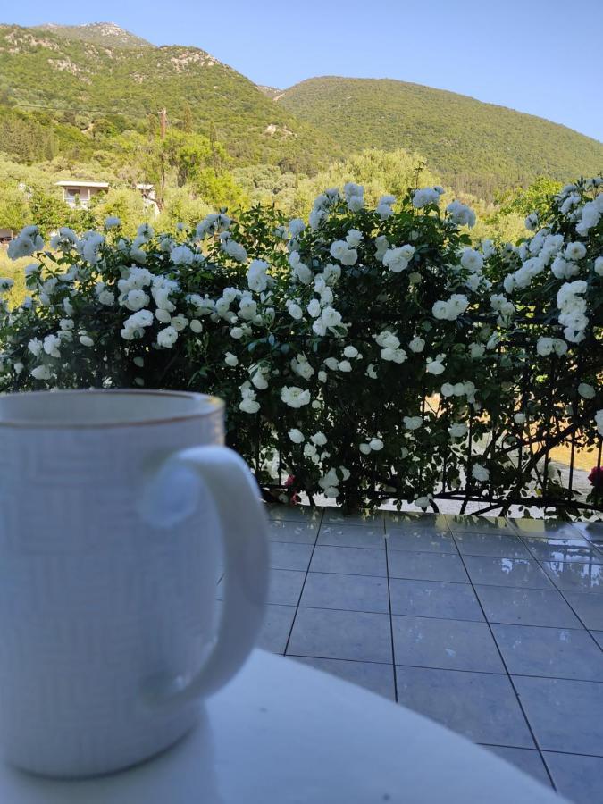 Vila Rosegarden Sami  Exteriér fotografie