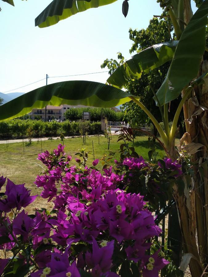 Vila Rosegarden Sami  Exteriér fotografie